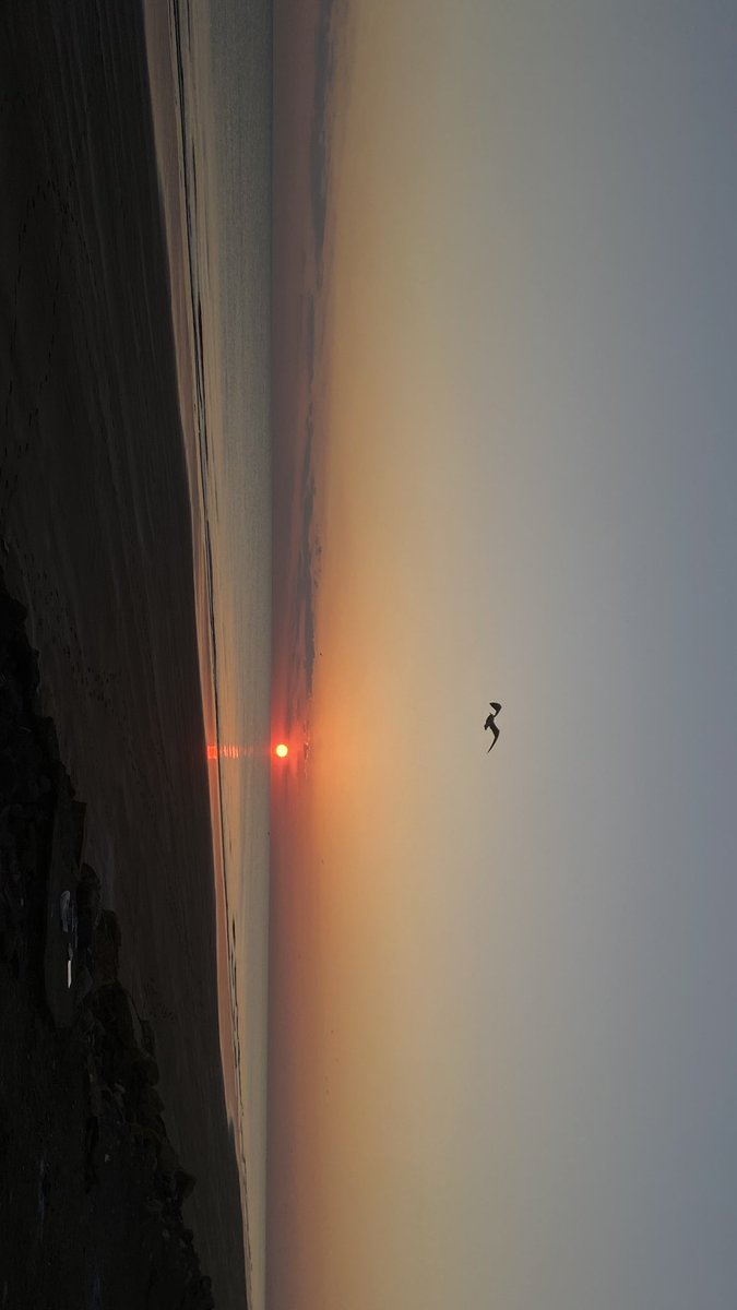 ozf77's tweet photo. التقاطة اليوم 🌅💛. https://t.co/41NZVeL6nj