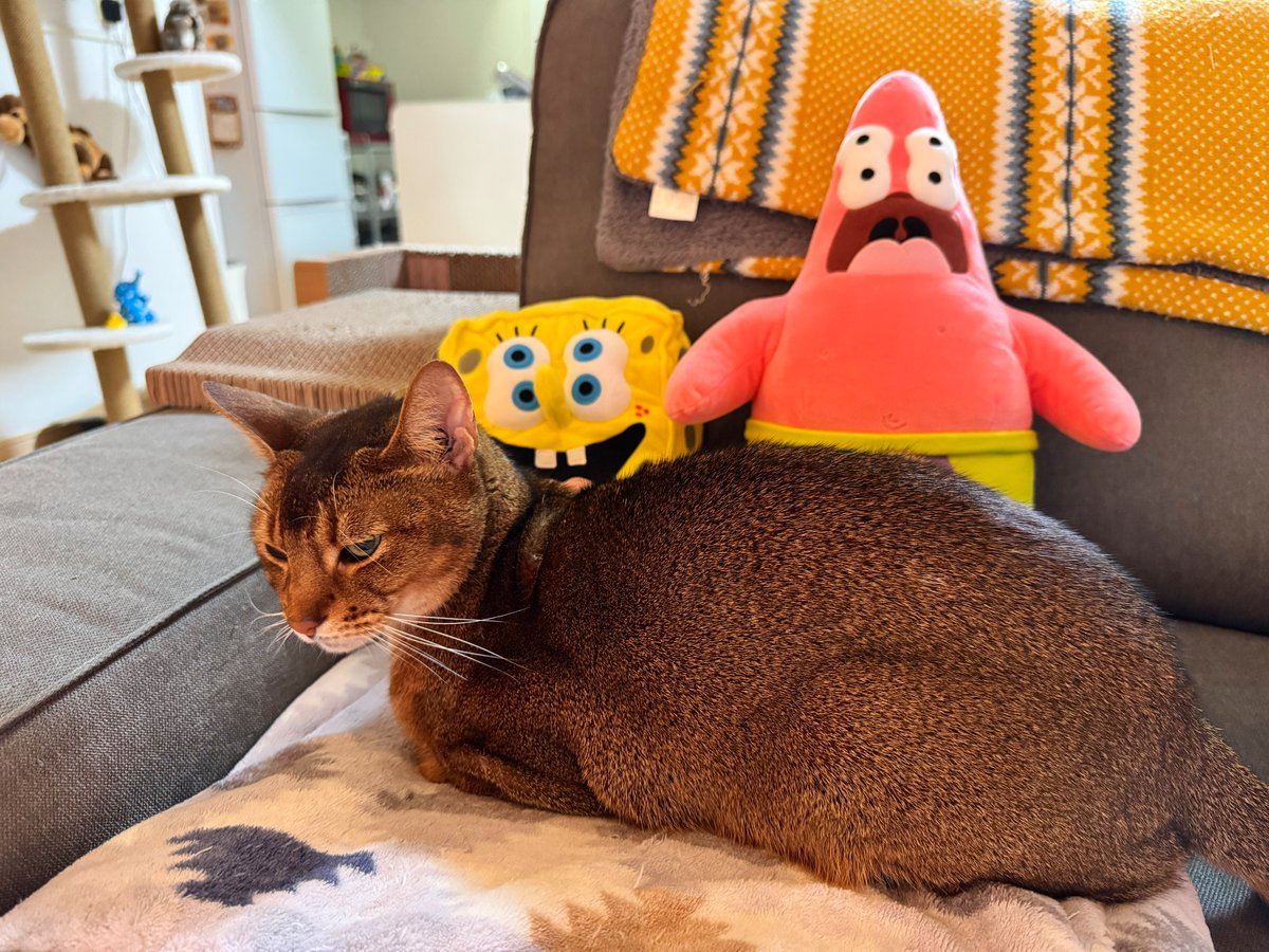 お友達が増えて嬉しいとらきち