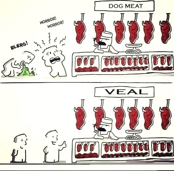 Can any meat-eaters PLEASE explain their logic? 🤨