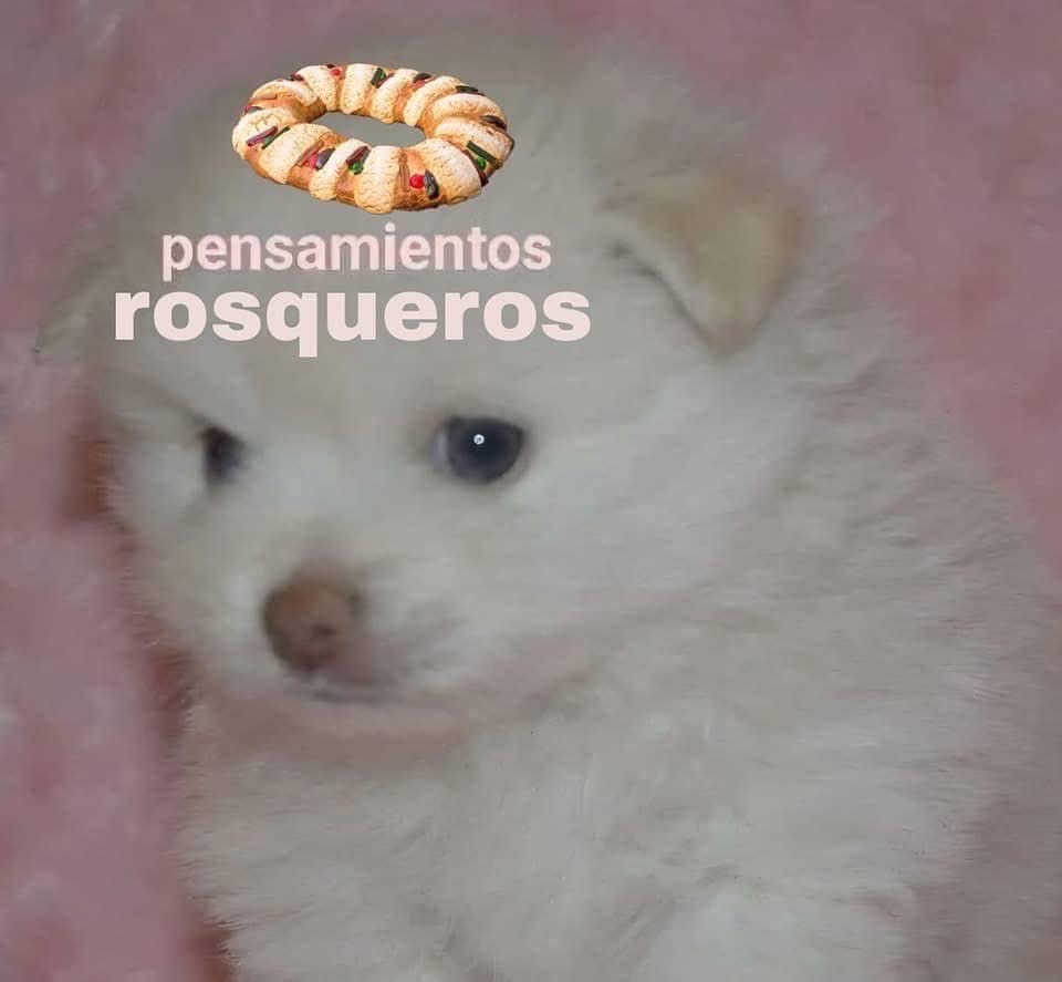 El Guarromántico tweet media