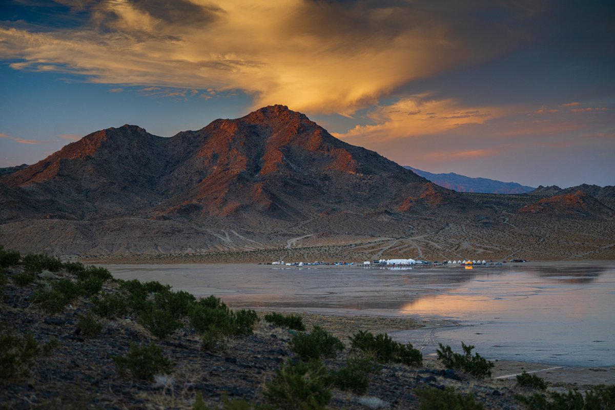 Rebelle Rally tweet media