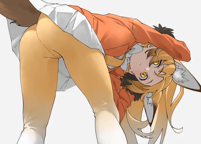 キタキツネ 