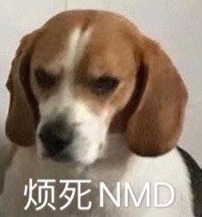 xiaobaisz's tweet photo. 评价我的2024:
nmd 烦死了 https://t.co/SOd4kqTdnb