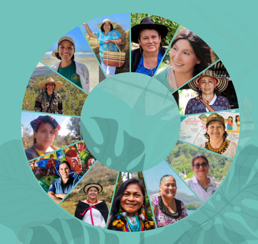 👋Meet 13 inspiring women from Latin America who are taking on leadership roles in #ecosystembasedadaptation! From the Amazon to the Andes, they're committed to protecting ecosystems and advocating for sustainable futures - learn from their successes here: tinyurl.com/bdcvxet6