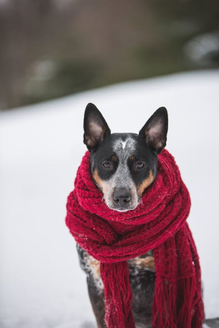 🚨❄️ Weather Alert! ❄️🚨 Our Bainbridge and Chillicothe offices are closed today due to inclement weather. Please stay safe and warm out there! 🌨️ Our other offices are open normal hours, ready to assist you. #SafetyFirst #WinterWeather