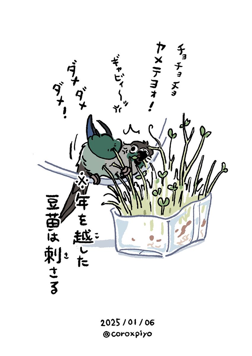 日本語と鳥語でキレてた… 
