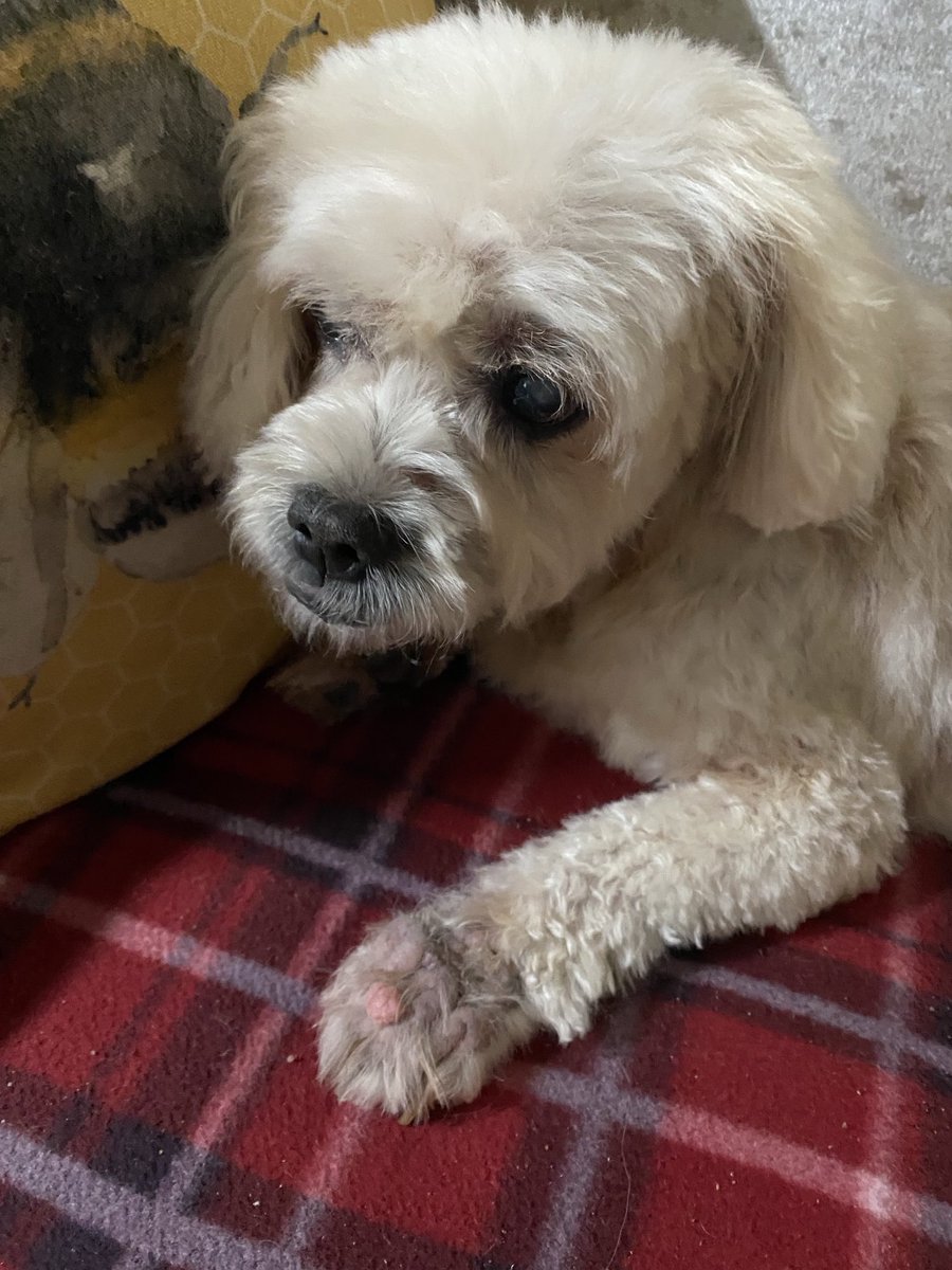 Thanks Katie for looking after me. I love my new haircut 👏🏻👏🏻💙