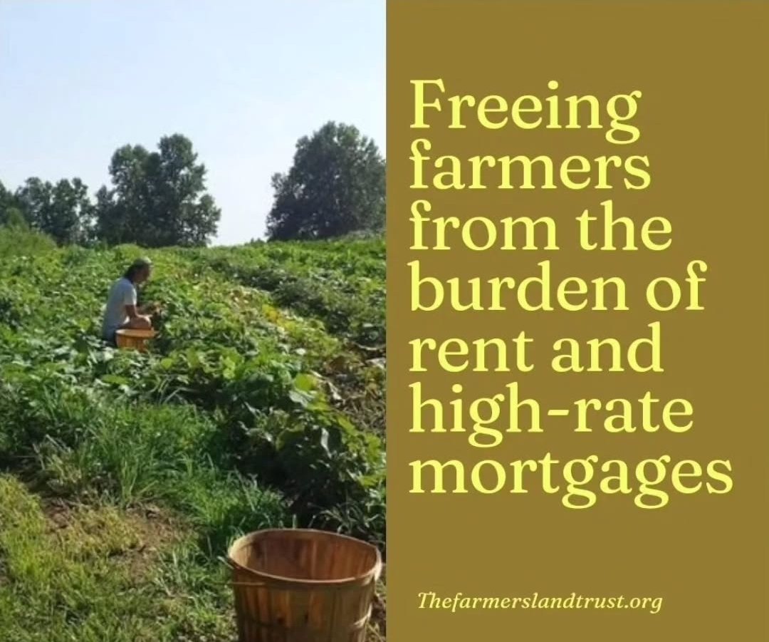 FarmersLT's tweet photo. By providing long-term land security for farmers, ranchers, and stewards in the form of low-cost 99-year equitable leases, the Farmland Commons are freeing those who steward the land from the burdens of unfair market rate rents and high-cost mortgages. 

 #landaccess #farmland https://t.co/2H133skPM2