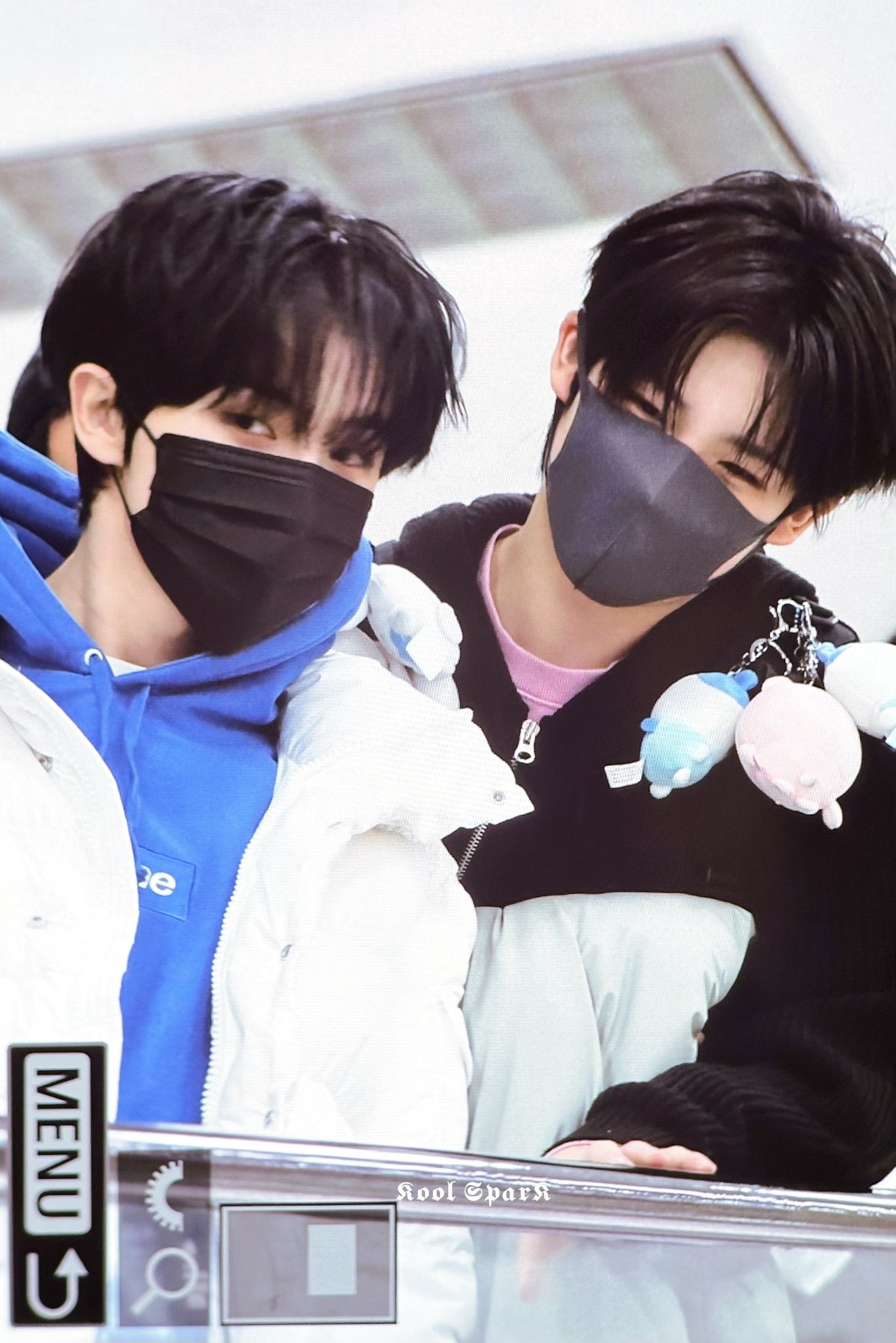 サクラダケンシン - Search / X