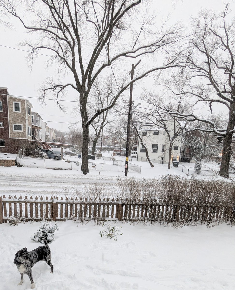 ChelseyDC's tweet image. 5.5" of snow and still coming down strong in NE DC!
❄️⛄❄️⛄❄️