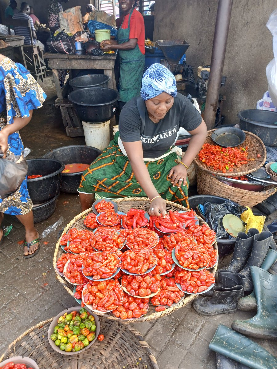Auntie Esther Ezinne Adaoma G🥰pepper girl (@mensahestheromo) on Twitter photo Hello 👋
This is the face behind the brand the #auntieesther of mile12 lagos <a href="/MensahOmolola/">Auntie Esther pepper girl 🥰😃😃😃😃</a>, we deal on all foodstuffs wholesale and retail ranging from
Tomatoes ✅
Pepper ✅
Rice ✅
Yam ✅
Plaintain✅
Vegetable, ugwu, soko, ewedu ✅
Egusi, ogbono, chill pepper ✅
Sphaetti, Hello 👋
This is the face behind the brand the #auntieesther of mile12 lagos <a href="/MensahOmolola/">Auntie Esther pepper girl 🥰😃😃😃😃</a>, we deal on all foodstuffs wholesale and retail ranging from
Tomatoes ✅
Pepper ✅
Rice ✅
Yam ✅
Plaintain✅
Vegetable, ugwu, soko, ewedu ✅
Egusi, ogbono, chill pepper ✅
Sphaetti,