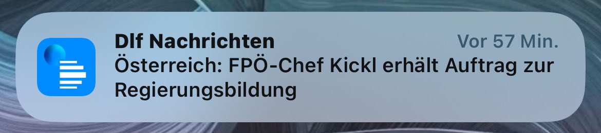 Die festgefahrene Situation in Österreich sollten wir als Warnung wahrnehmen. Wenn Parteitaktik über Bündnisfähigkeit gestellt wird, triumphieren am Ende die Populisten. Gegen irgendwen zu sein, ist kein politisches Konzept. Statt negativen Abgrenzungen von den Grünen würde ich