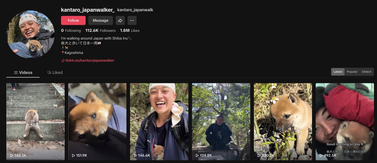 poe_real69's tweet photo. keep selling $SAN i'll keep buying, the tiktok account of @SanChanKantaro keeps growing by the thousands every day, eventually this will be one of the most viral shibas on the internet, and you're panic selling at $800k? https://t.co/rqmR9X7p1J