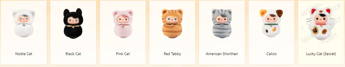 Pucky Roly-Poly Kitty tweet media