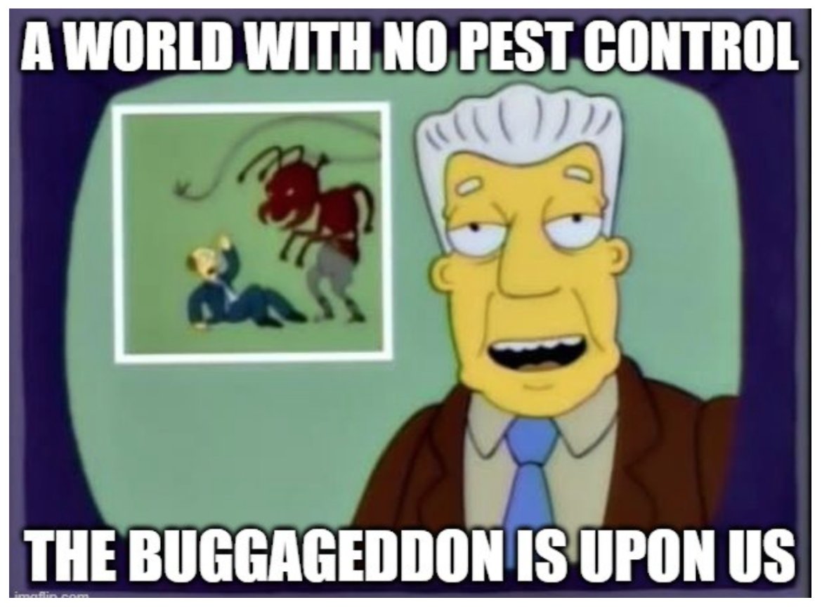 877DEADBUG's tweet image. I mean the Simpsons has predicted a lot of stuff...😱. 📲 877-DEAD-BUG
.
.
.
#877deadbug #deadbug #blackdiamondpestcontrol