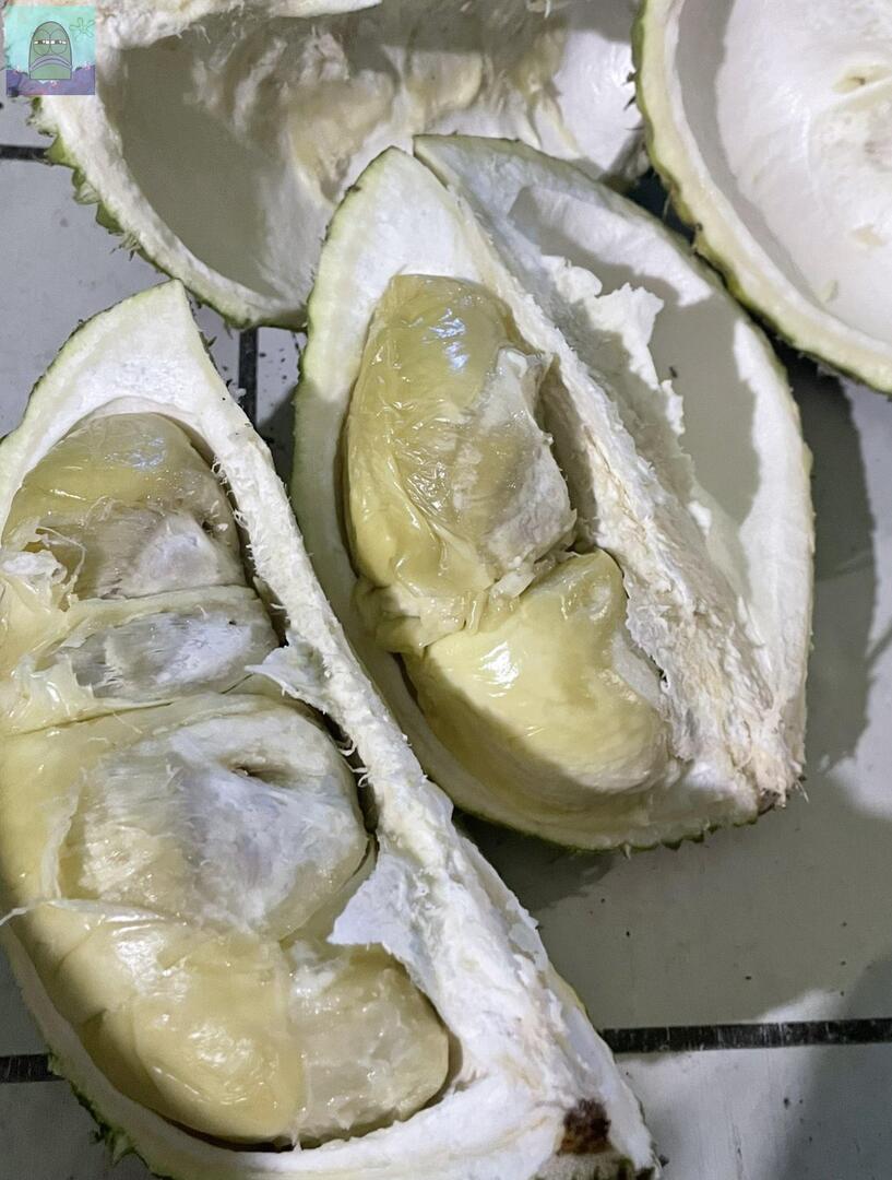 Tanyarl 💚 tweet media