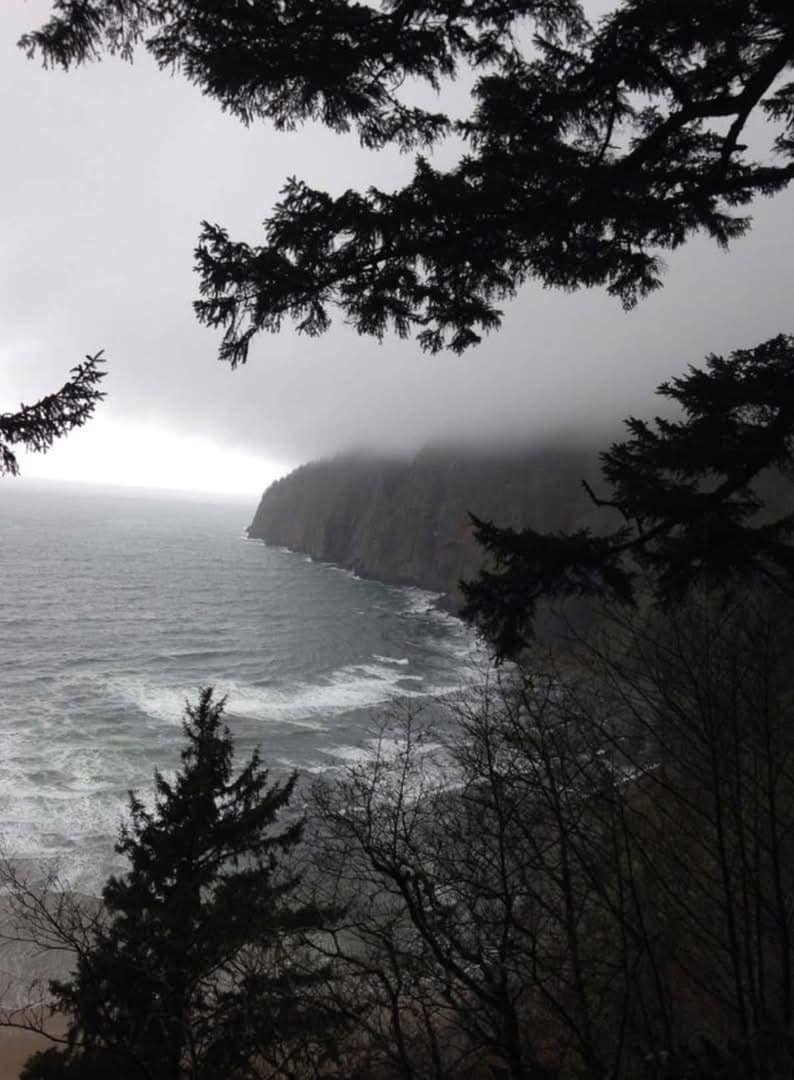 artindetails's tweet photo. lost in the fog, found by the sea. https://t.co/eU8ryzCVYy