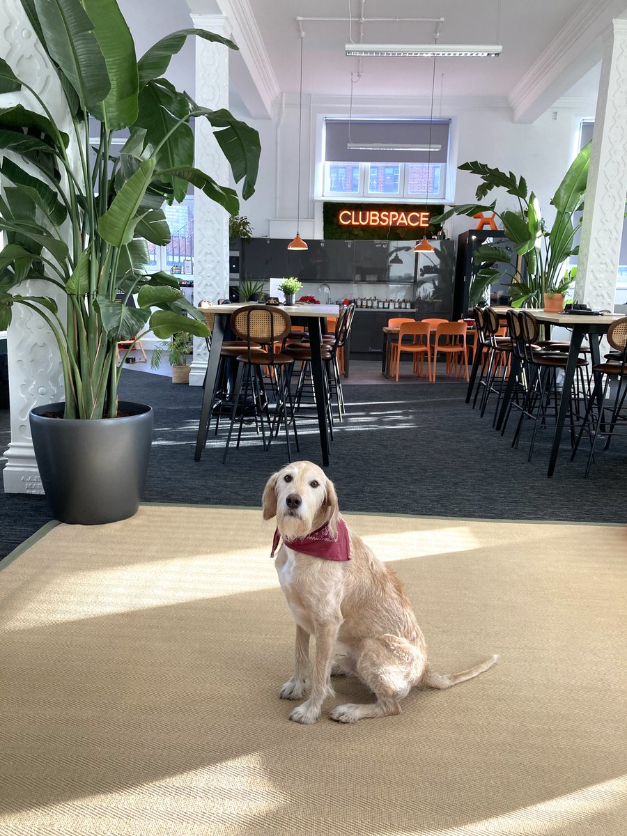 Fed up of wfh? We’re offering 2 weeks free for sign-ups in the first month of 2025 at our #BristolCoworking space.

💻Flexible desks 
🖥️Dedicated desks
🍵Unlimited tea &amp; coffee
🤝Community events
 
Book here for a tour 👇 
eu1.hubs.ly/H0fxGC10

*BYOD (Bring your own dog)