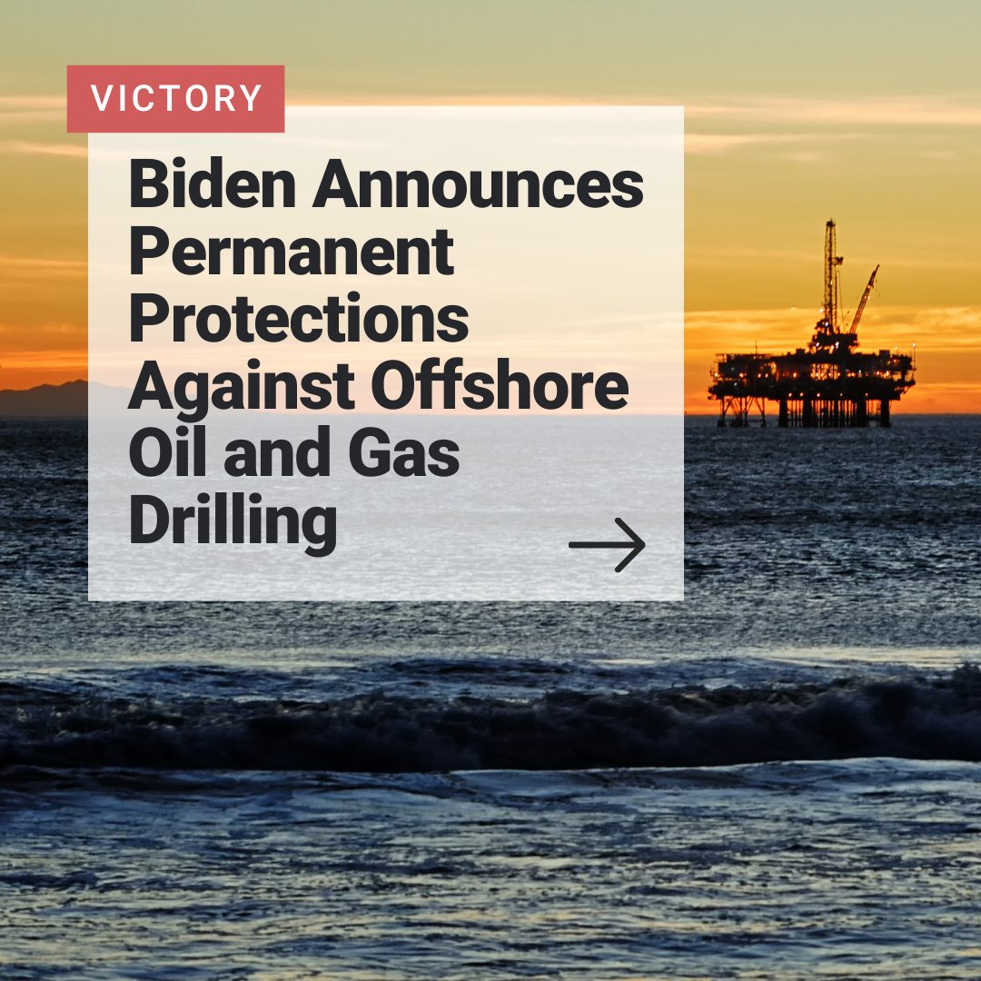 Surfrider Foundation tweet media