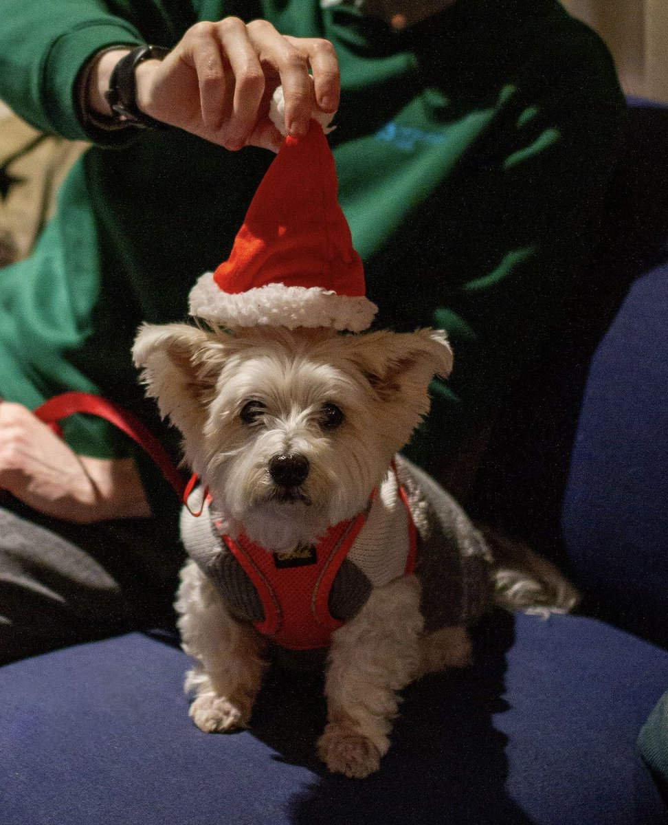 That feeling when you're determined not to let the festivities come to an end...even if it is the first Monday of the New Year! #AffinityLiving

Find your 2025 pet friendly home at affinityliving.com