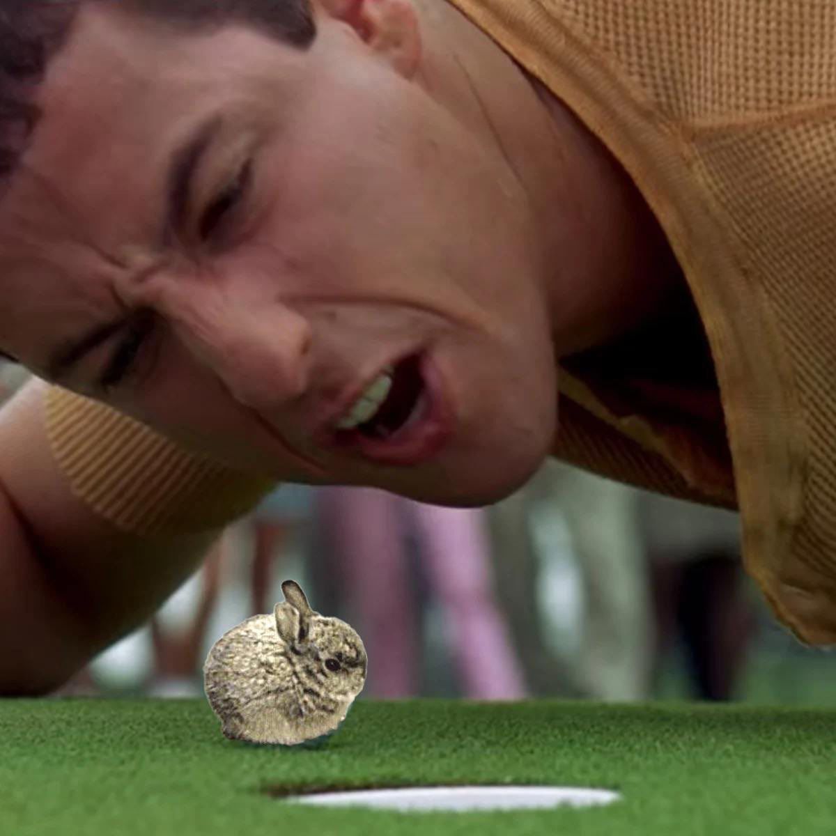 rnt_rj's tweet image. $bun 
GjCqkMr8uvYibgummgXXcrD7jtxUQ17Ljtr8uo4zRULC

Why can&apos;t the meme rabbit sleep at night? Because the value of his cryptocurrency is rising faster than he can hop!
@bunsolanacto