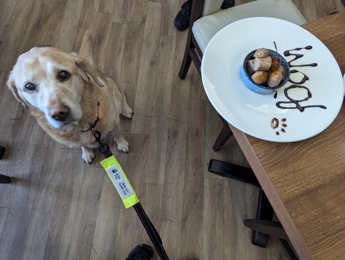 What a weekend, always good to catch up with the tremendous gents of <a href="/EvilScarecrowUK/">Evil Scarecrow</a> but a weekend is never complete with @Olivebestdoggo giving me the "I've never been fed" eyes whenever we're out eating. Luckily <a href="/MillfieldsHote1/">Millfields Hotel</a> were on hand to provide extra snacks 🥰