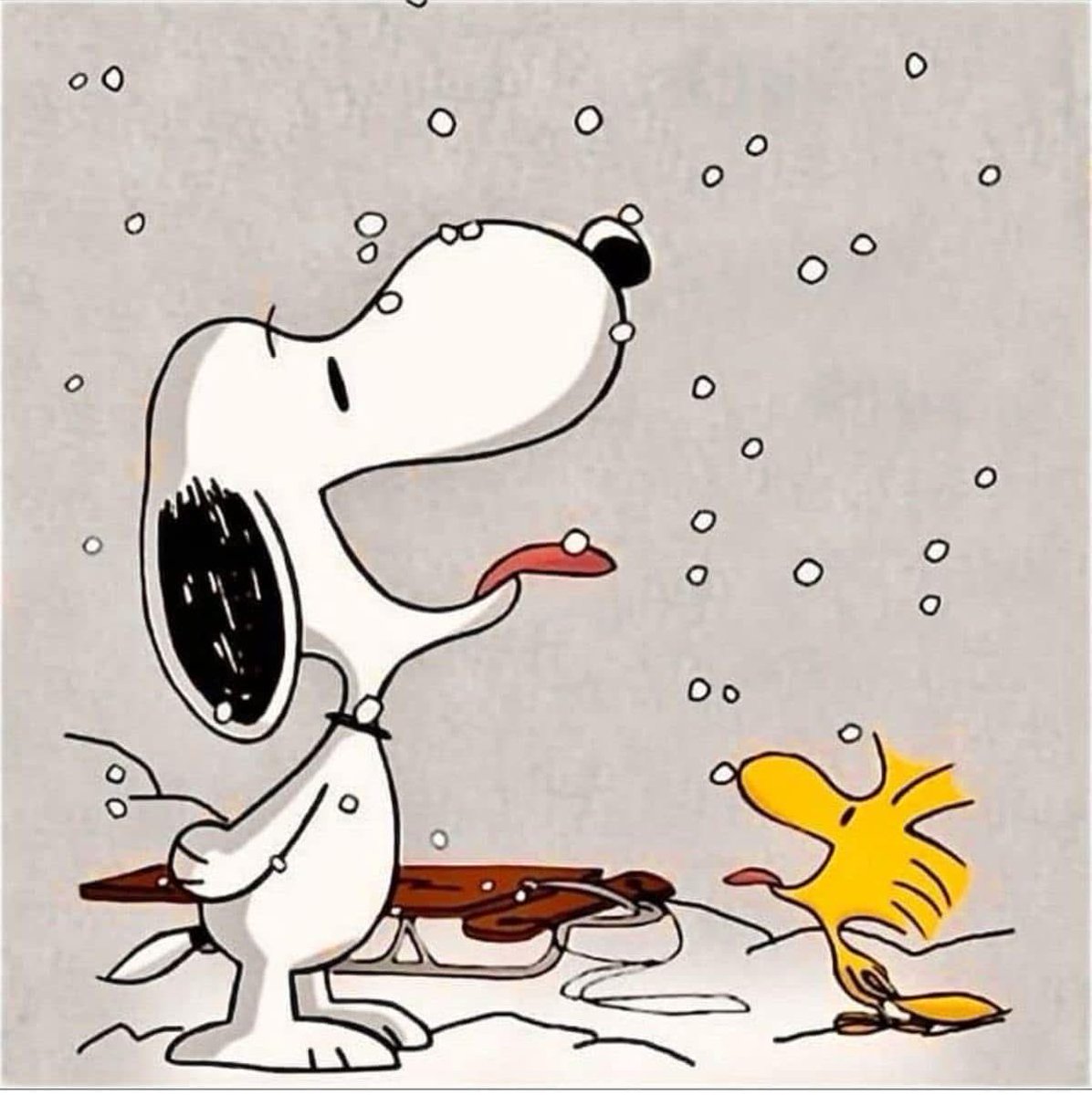 Snow day! #dmv #weather #snow