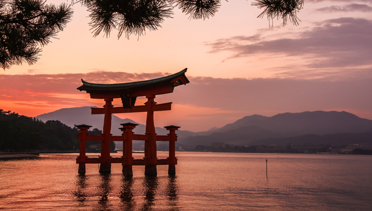 Mundy Cruising tweet media