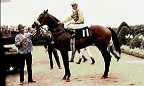 HORSERACING1002's tweet photo. KEY TO THE MINT 🇺🇸 1969
(GRAUSTARK - KEY BRIDGE BY PRINCEQUILLO)
#KeyToTheMint
B/O Paul Mellon (Va) Mar 9, 1969
29-14-4-3----$576,015
1972 Champion 3yo colt🇺🇸
Remsen S, Brooklyn H, Derby Trial S, Travers S, Whitney H, Whithers S, Woodward S , Suburban H,Excelsior H G2.
2nd Cowdin S Jockey Club Gold Cup G1, Metropolitan H G1
3rd Garden State S, Preakness Stakes G1
ETR Aqueduct 1 3/16 1,54,80
Stood at Greentree Stud and Gainesway Farm , Sired 641 foals, 337 winners, 49 sw, Famoso, Gold and Ivory, Java Gold, Jewel Princess, Key Bid, Key Lory, Key Spirit, Loves Smitten, Loves Exchange, Plugged Nickle, Pure Profit, Kamar, Sauce Boat.
Died Sep 21, 1996