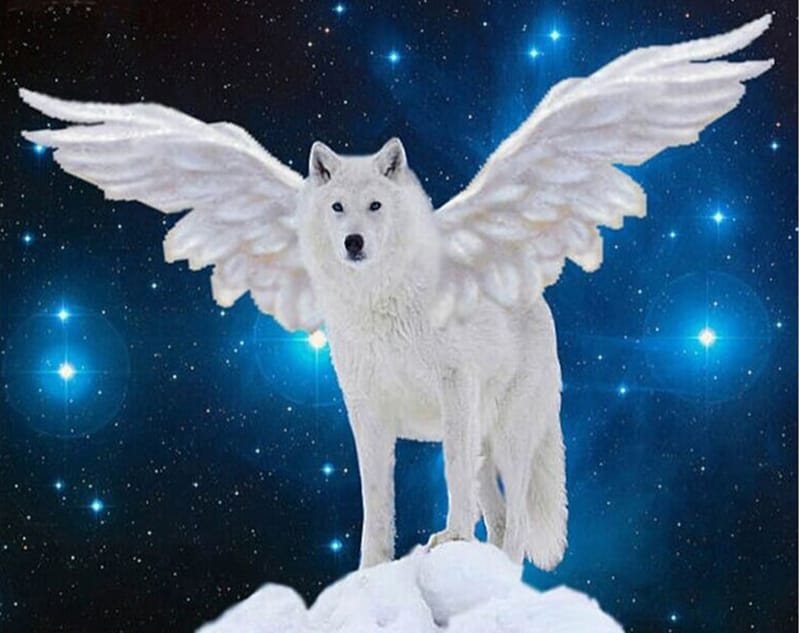 Éʟɪᴛᴇ ʟᴇᴀɢᴜᴇ tweet media