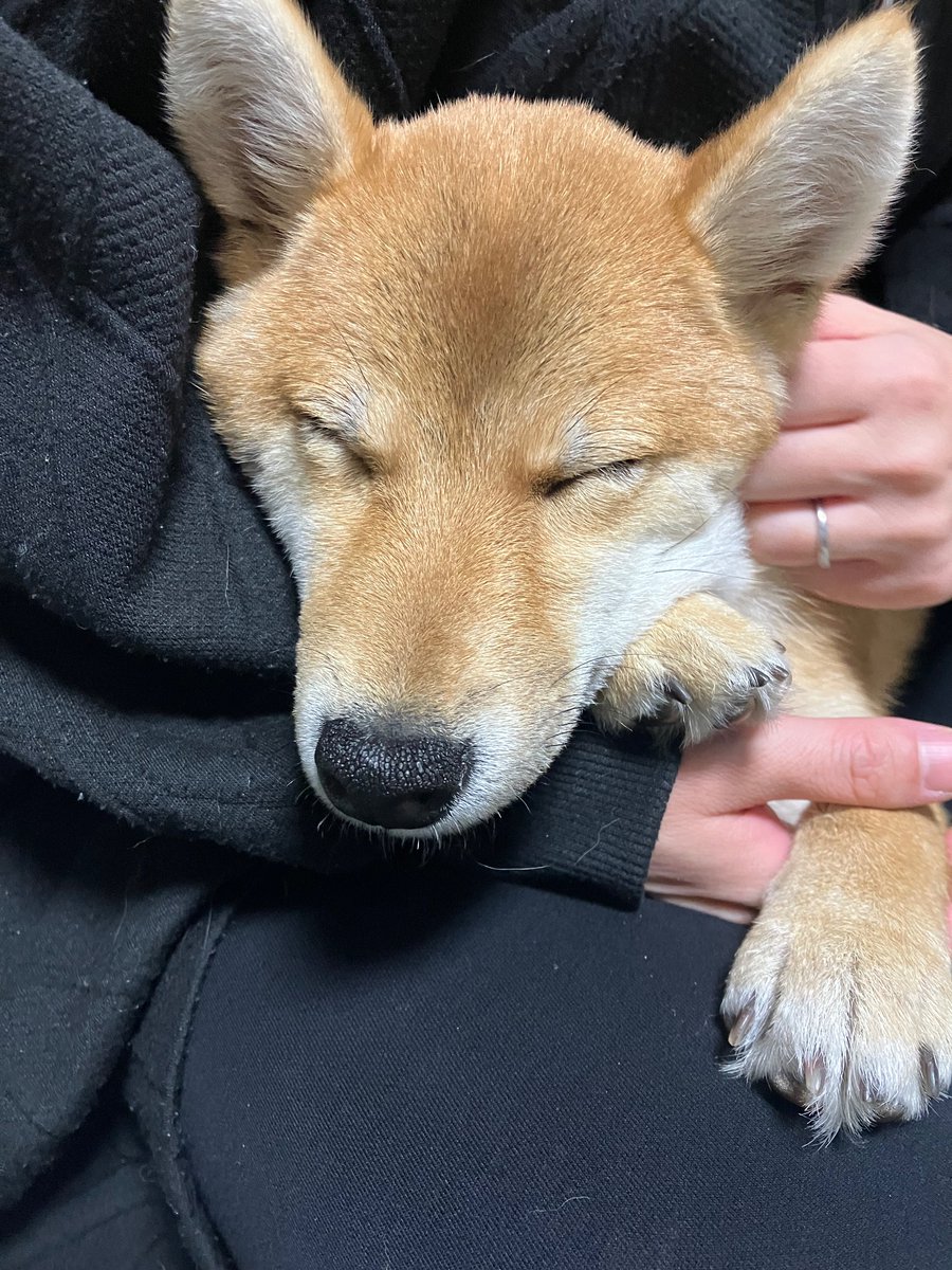 timaki_0729's tweet photo. 🦴今日のS株🦴

三菱UFJ             4株(13株)
KDDI                   1株(6株)
アステラス製薬  1株(2株)
東京海上HD       1株(4株) https://t.co/9H83fH5AGZ