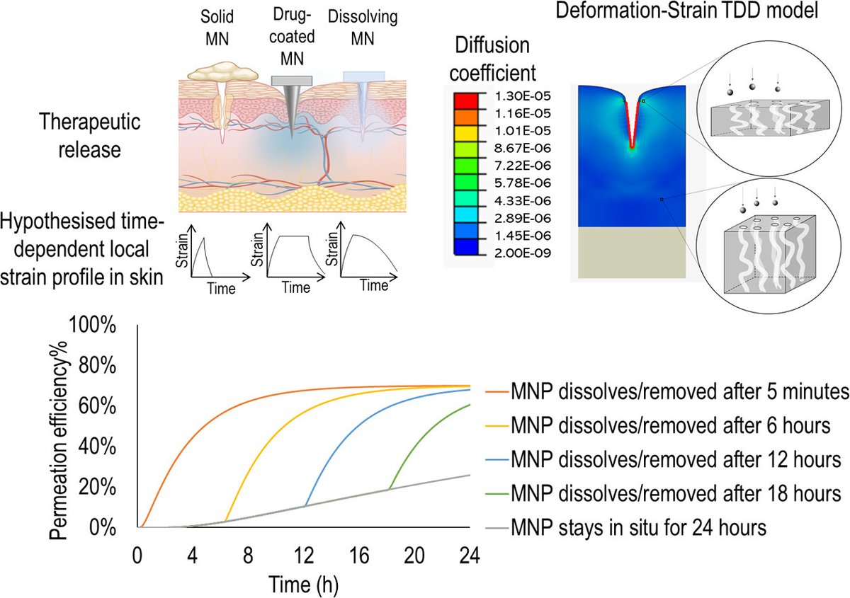 Acta Biomaterialia (@actabio) on Twitter photo Professor Eoin O'Cearbhaill: Multiphysics modelling of the impact of skin deformation and strain on microneedle-based transdermal therapeutic delivery <a href="/UCDBiomedEng/">UCD Biomedical Eng</a> <a href="/UCD_Mech_Eng/">UCD School of Mechanical and Materials Engineering</a> <a href="/CharlesUCD/">UCD Charles Institute of Dermatology</a> <a href="/UCD_Conway/">UCD Conway Institute</a>
sciencedirect.com/science/articl… Professor Eoin O'Cearbhaill: Multiphysics modelling of the impact of skin deformation and strain on microneedle-based transdermal therapeutic delivery <a href="/UCDBiomedEng/">UCD Biomedical Eng</a> <a href="/UCD_Mech_Eng/">UCD School of Mechanical and Materials Engineering</a> <a href="/CharlesUCD/">UCD Charles Institute of Dermatology</a> <a href="/UCD_Conway/">UCD Conway Institute</a>
sciencedirect.com/science/articl…
