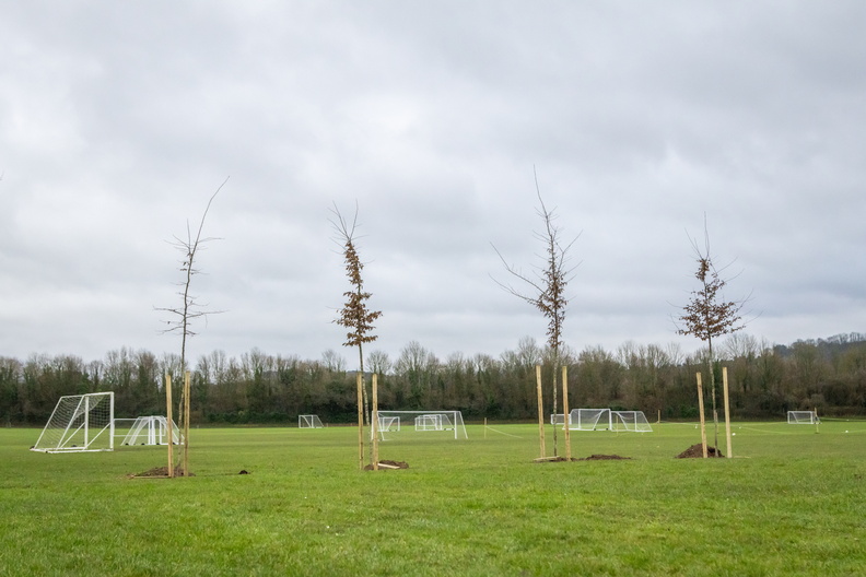 WinchesterCity's tweet image. Colleagues from our Sustainability and Natural Environment team planted 16 new 🌳 trees 🌳at King George V Playing Field and Winchester Sport &amp;amp; Leisure Park in December.
#HampshireMillionTrees #HampshireForestPartnership #CommunityTrees #GreenHampshire