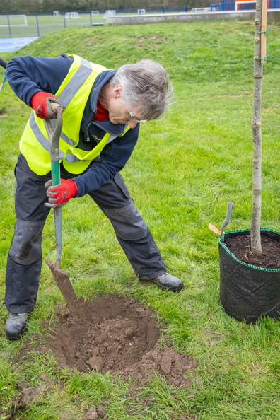 WinchesterCity's tweet image. Colleagues from our Sustainability and Natural Environment team planted 16 new 🌳 trees 🌳at King George V Playing Field and Winchester Sport &amp;amp; Leisure Park in December.
#HampshireMillionTrees #HampshireForestPartnership #CommunityTrees #GreenHampshire