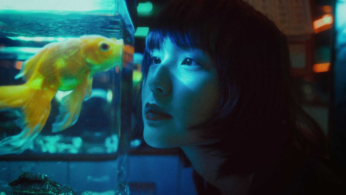 Humans now have shorter attention spans than goldfish. 🐟
In 2000, we managed 12 seconds. Today, it’s 8 seconds. By 2028, goldfish might officially lap us.
newgraphic.ie/journal/you-ar…