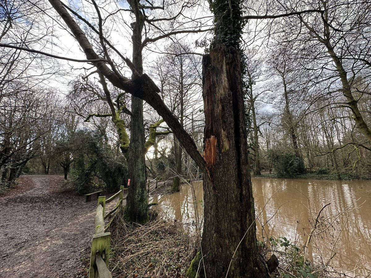 ATWAG Coventry tweet media