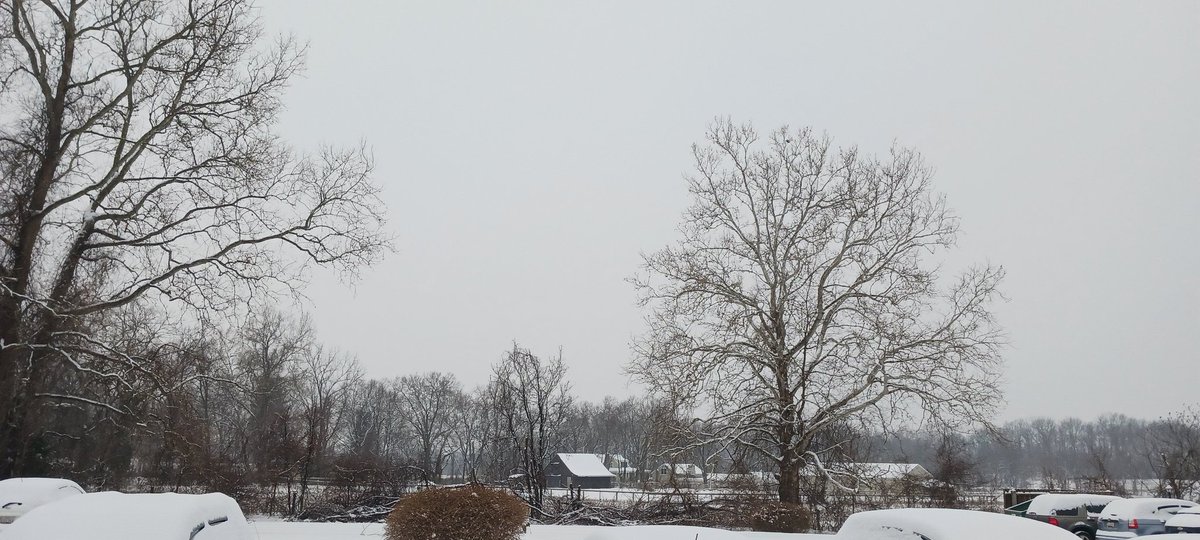 It's a beautiful snowy morning #WinterstormBlair came and gave us much needed snow 🥰❤️❄️☃️🌨️#MondayVibes #snowfall