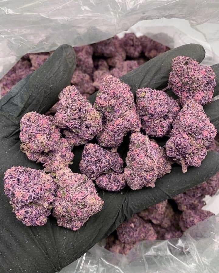 Purple BUDS 🍁🍁💨💨🔥🔥
It hits different. Visit link on my page for more content