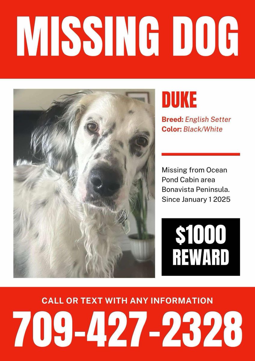 Caller to <a href="/VOCMOpenline/">VOCM Open Line</a> needs our help 
reward has been increased to $2000.00
#nltraffic