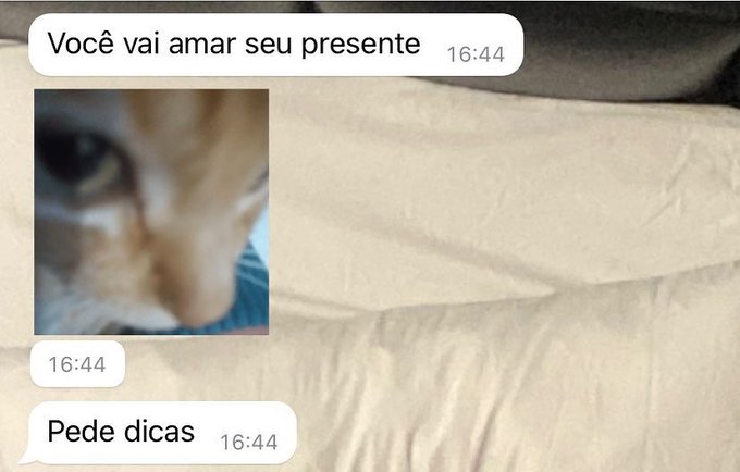 coisas burras ditas de forma inteligente (@burrosgeniais) on Twitter photo 