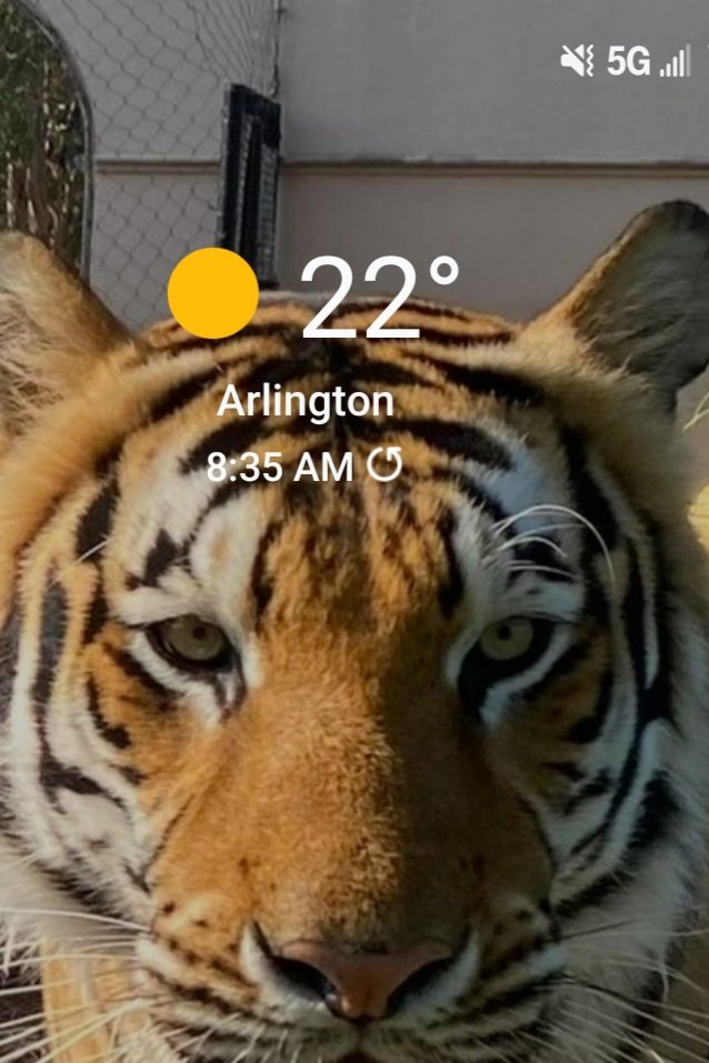 DrHolley's tweet image. When it&apos;s this cold on a school day, notes from students like these make it easier to get going. #WhyWeDoWhatWeDo