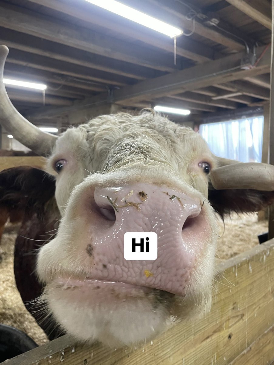 BarnSanctuary's tweet photo. Mike has a special announcement for you https://t.co/C1nw7Kiq1P