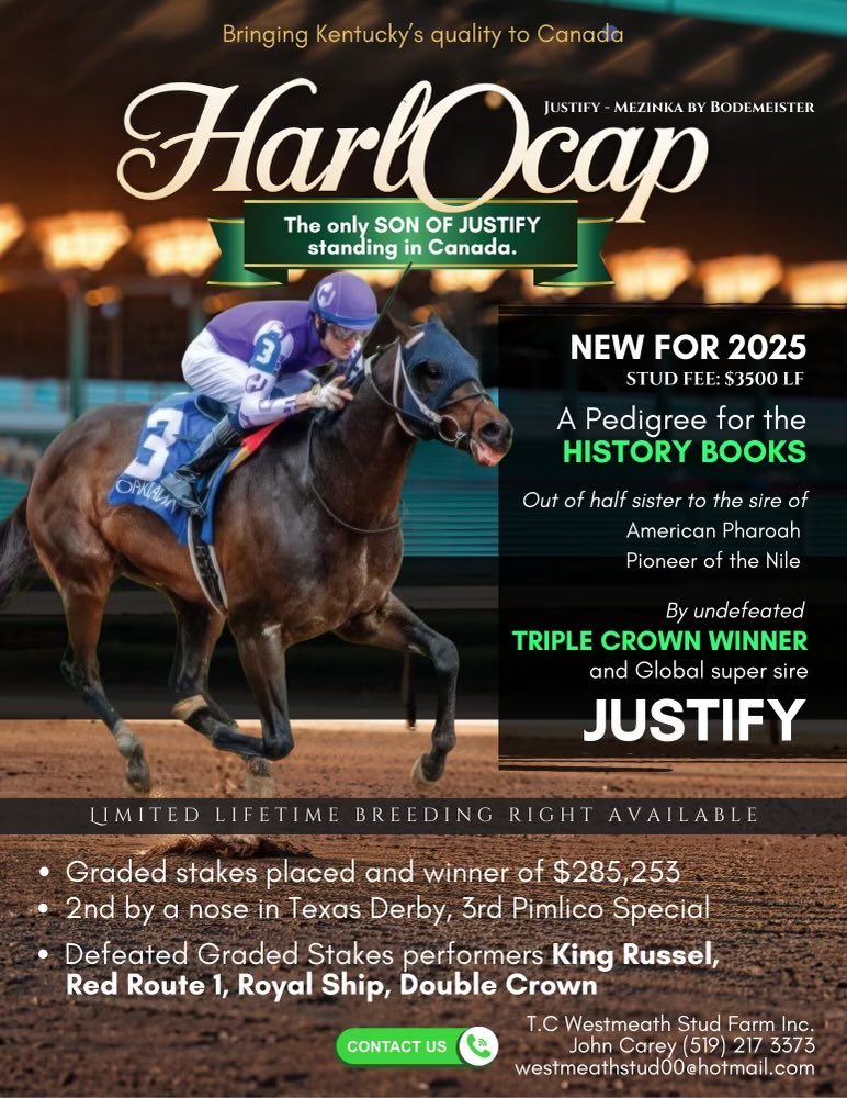 Another Pick View grad to stud. Best of luck Harlocap. Great fit for Canada breeders.