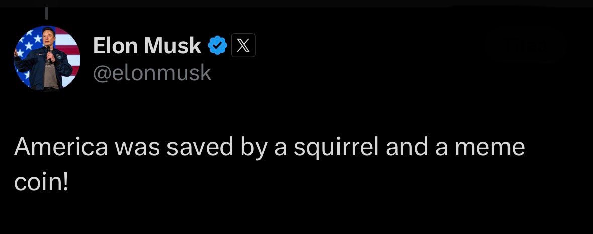 Today is the Election Certification 

14 Days from today for Trump to go office

The narrative is all around Trump

Who helped trump win the Election

And save the whole America

Well America was saved by a squirrel

And that squirrel is $PNUT 🐿️🇺🇸