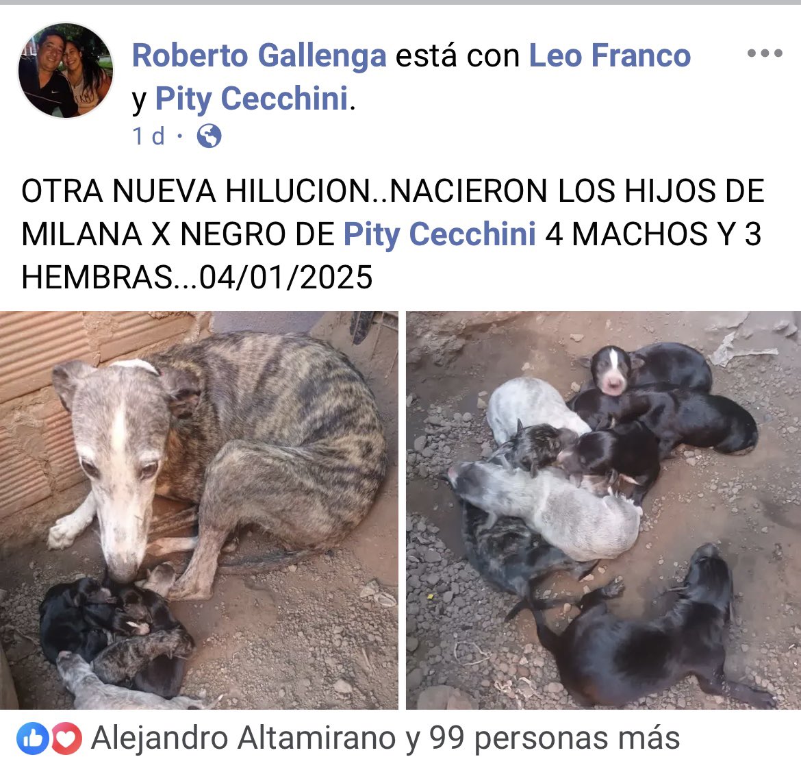 Che Galgo tweet media