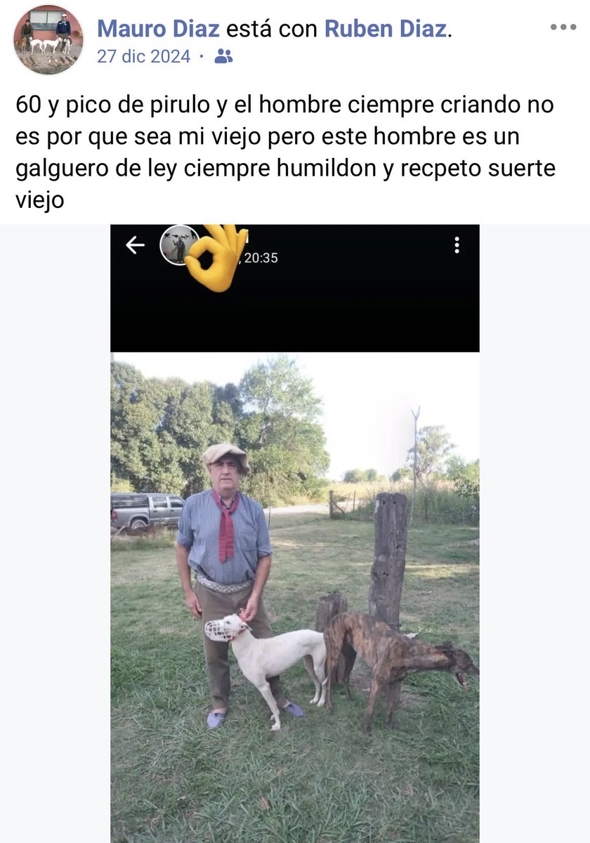 Che Galgo tweet media
