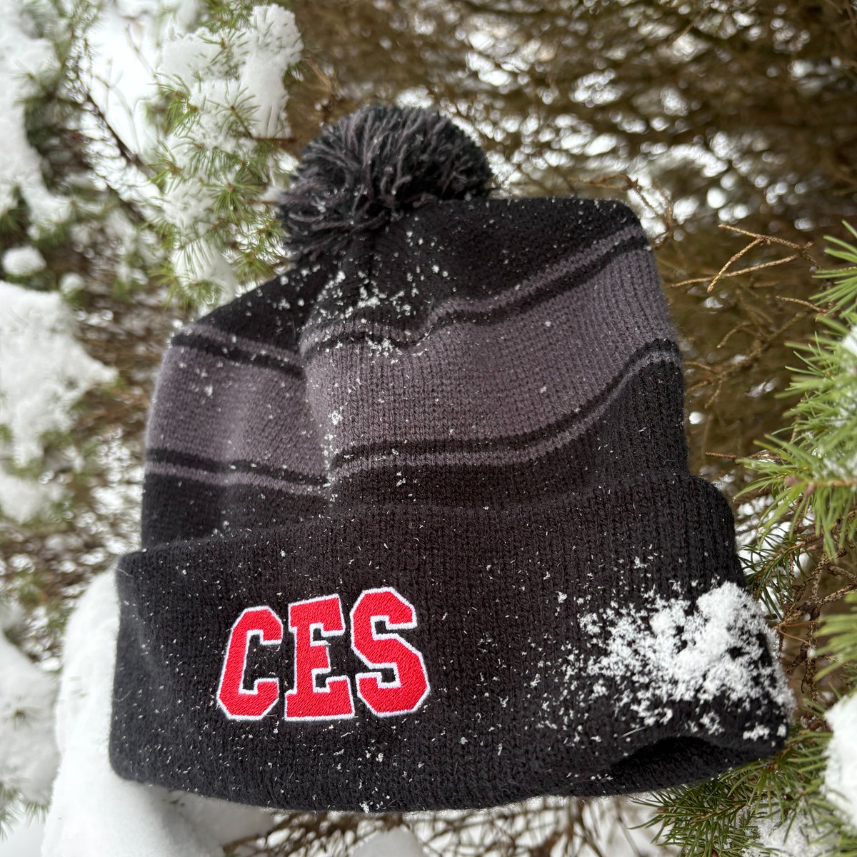 SNOW DAY! ❄ Whoever wore their PJs inside out and backwards last night knew what they were doing. How are you spending the first snow day of the year, Cardinals? #CESRockville #SnowDay