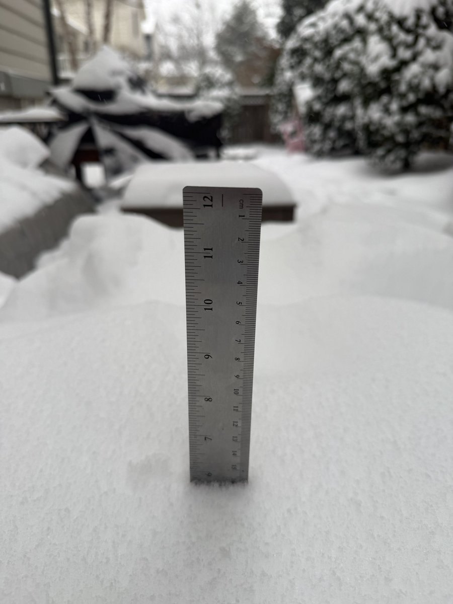 apapadimos's tweet photo. @capitalweather Arlington (Ballston) is close to 6” at 9:55 am ish https://t.co/ZfynJ3i6C4