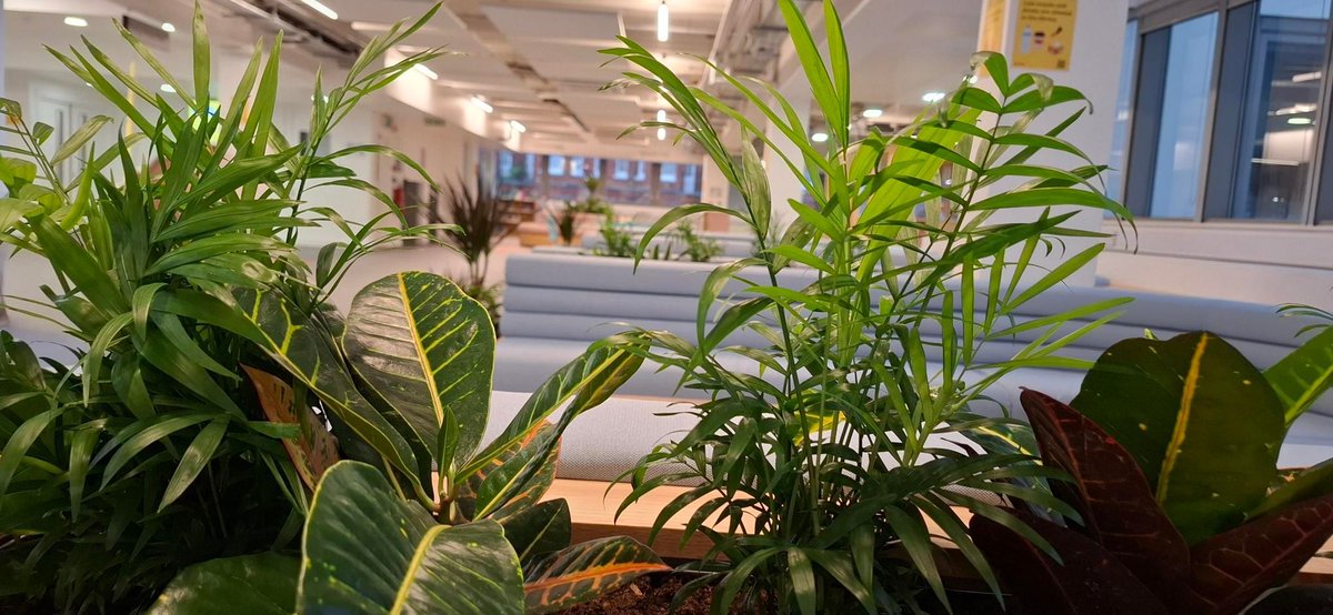 @uniwestlib tweet media