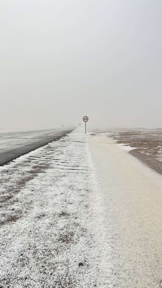 abode_bb52's tweet image. ما شاء الله ، بردية
شمال محافظة #سميراء مفرق العظيم
الاثنين ١٤٤٦/٧/٦ هـ